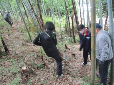 竹林整備活動１
