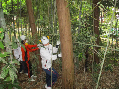 竹林整備活動２