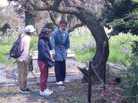 DSCF0234