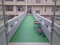 DSCF0239