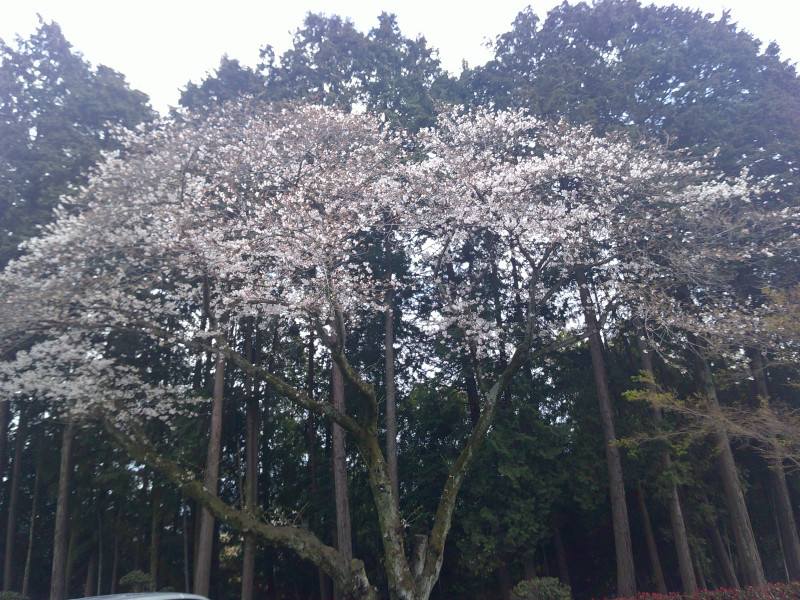 DSCF0228