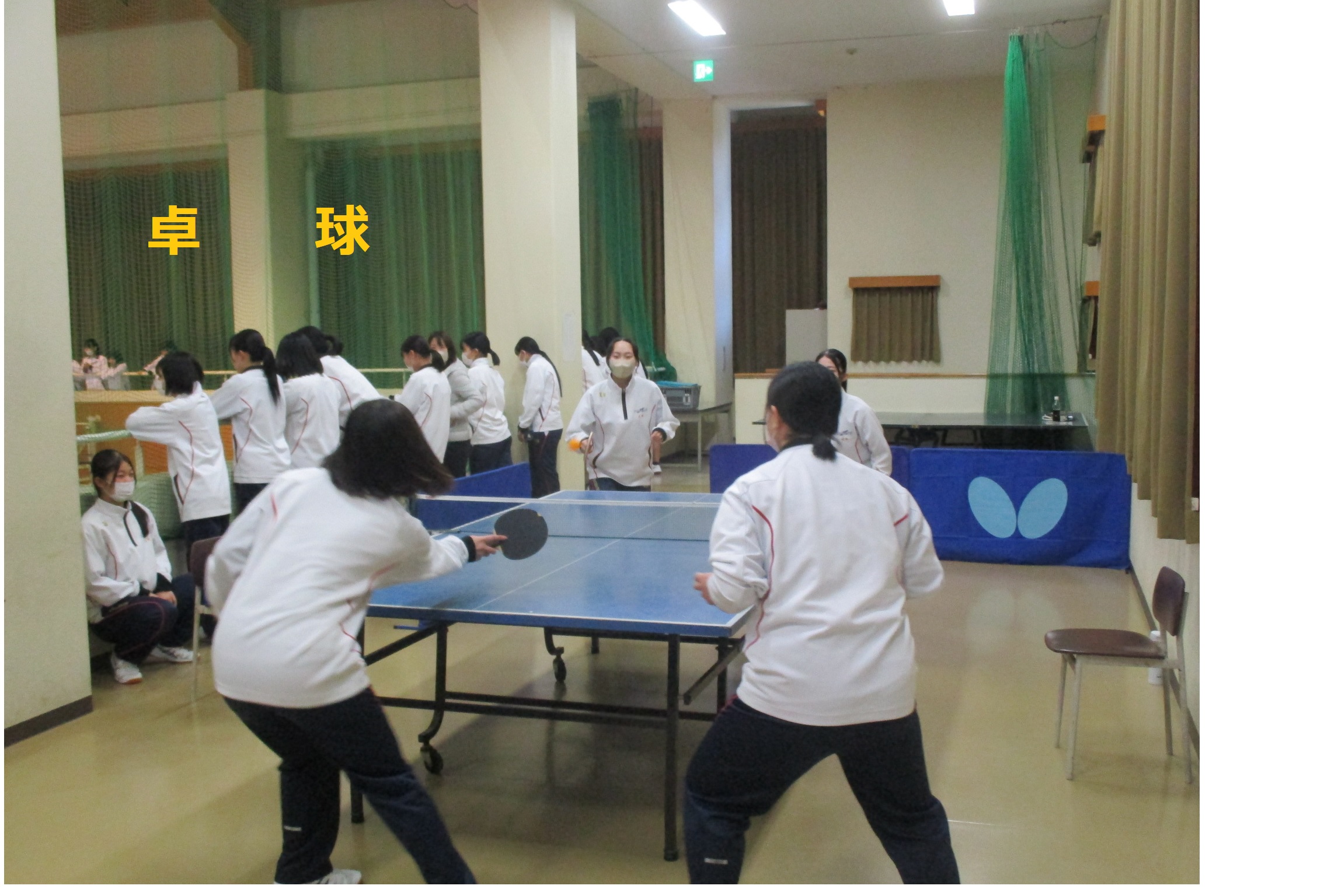 pingpong1