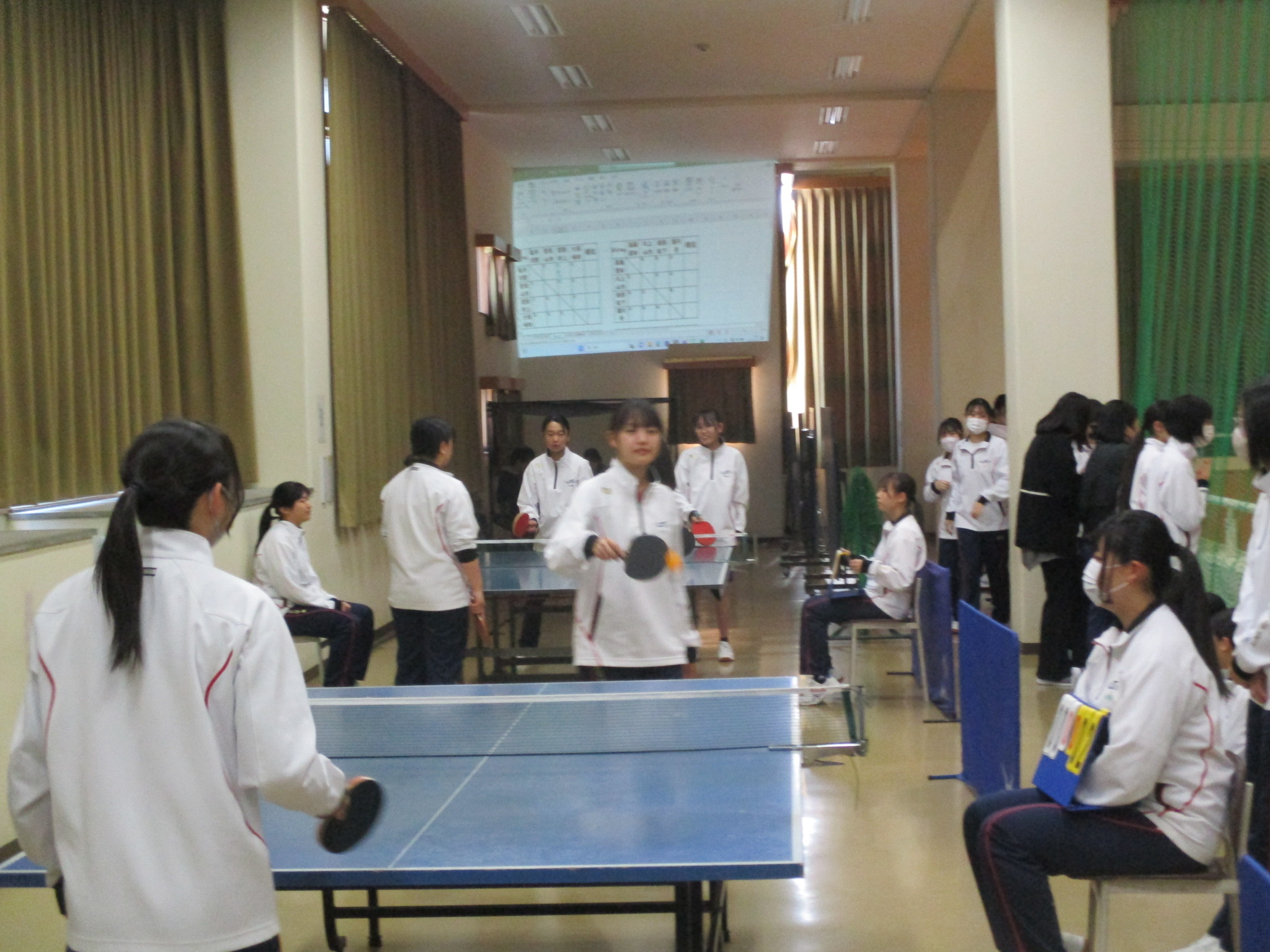 pingpong3