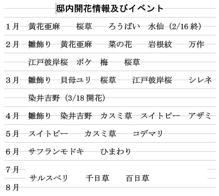 邸内の開花情報