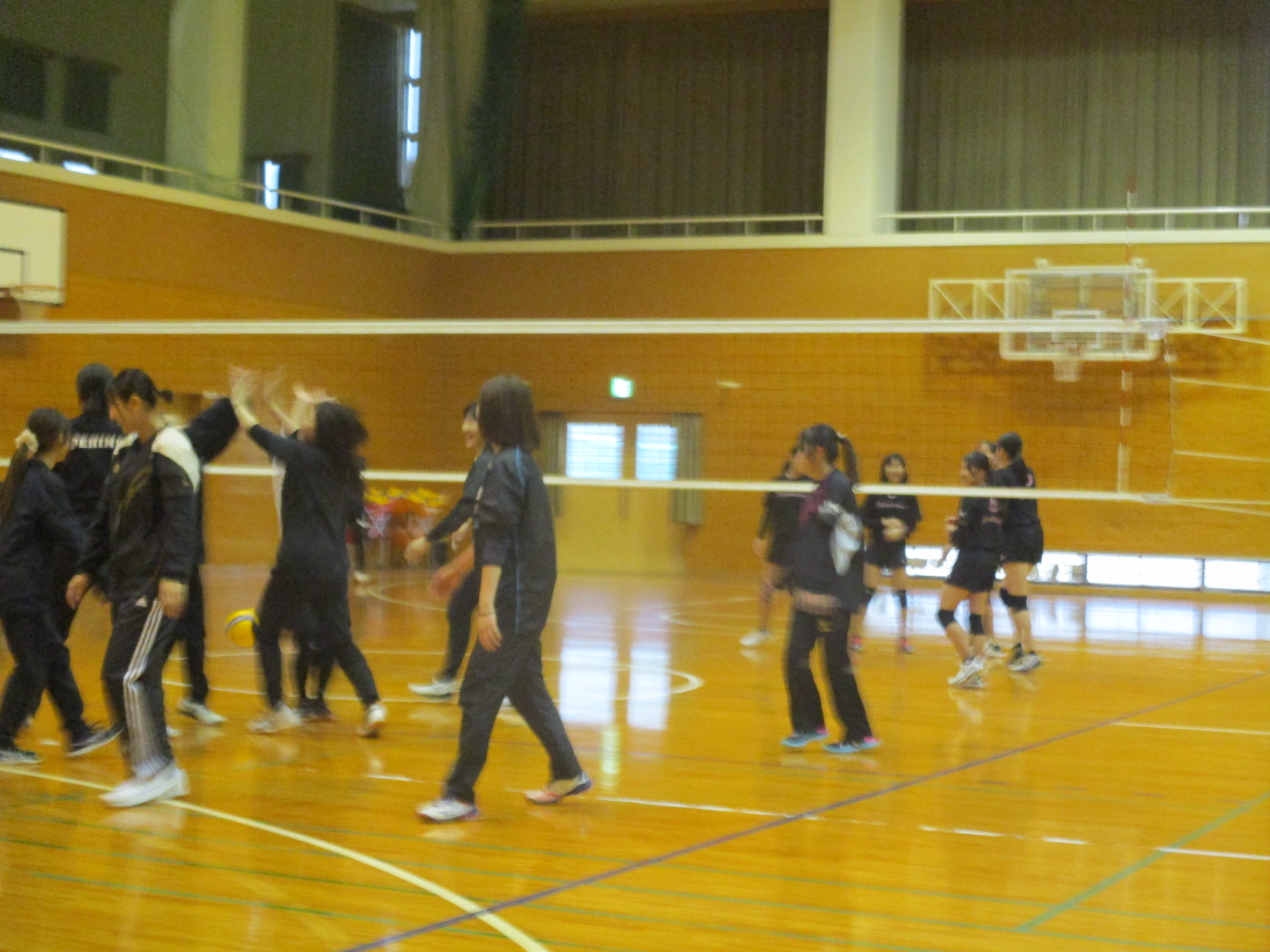 volley8