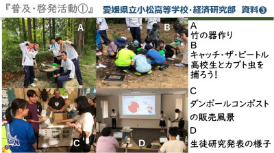 SAIJOBASE6