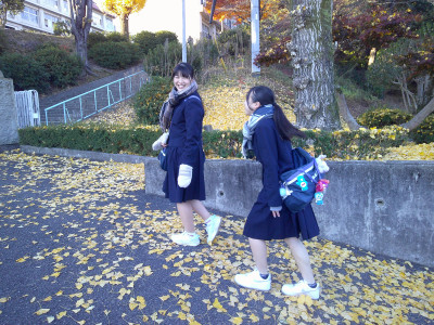 DSCF0804