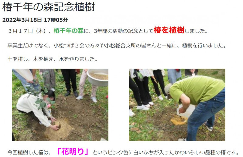 千年の森１