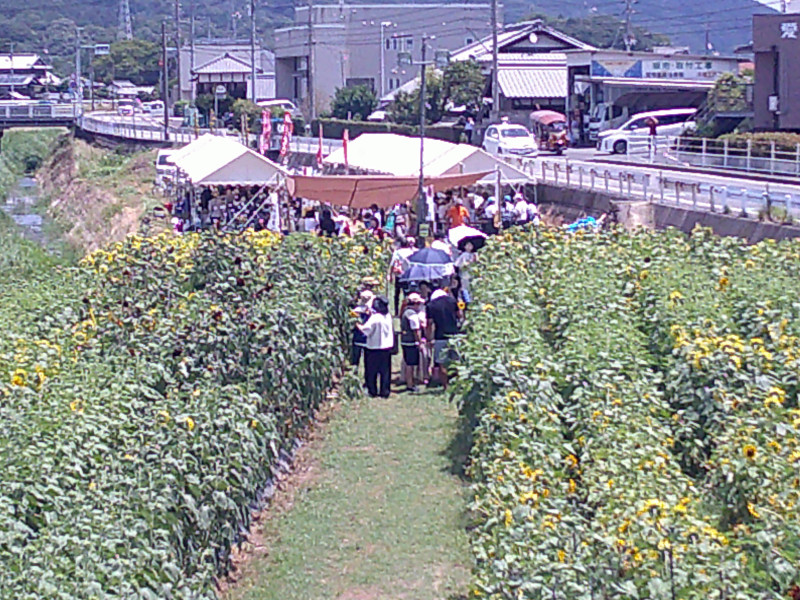 DSCF0003