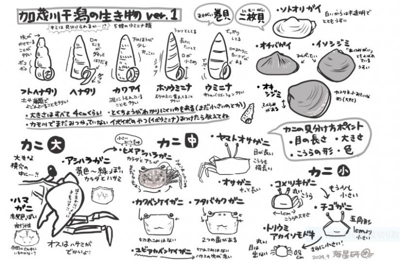 調査２