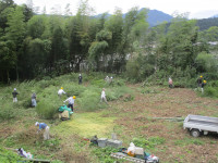 加茂川右岸１