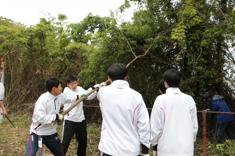 竹林整備活動１