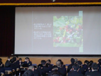報告７