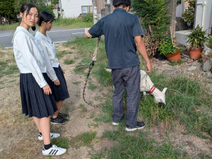 天々の散歩