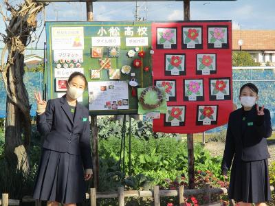 掲示板4 掲示板4