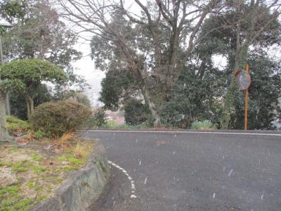 雪1 雪1